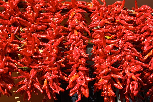 peperoni senise gastronomia lucana cose fare maratea